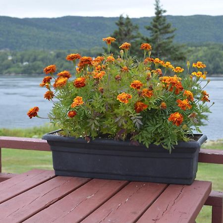 Mountain Vista Seaside Cottages Big Bras d'Or Quarto foto