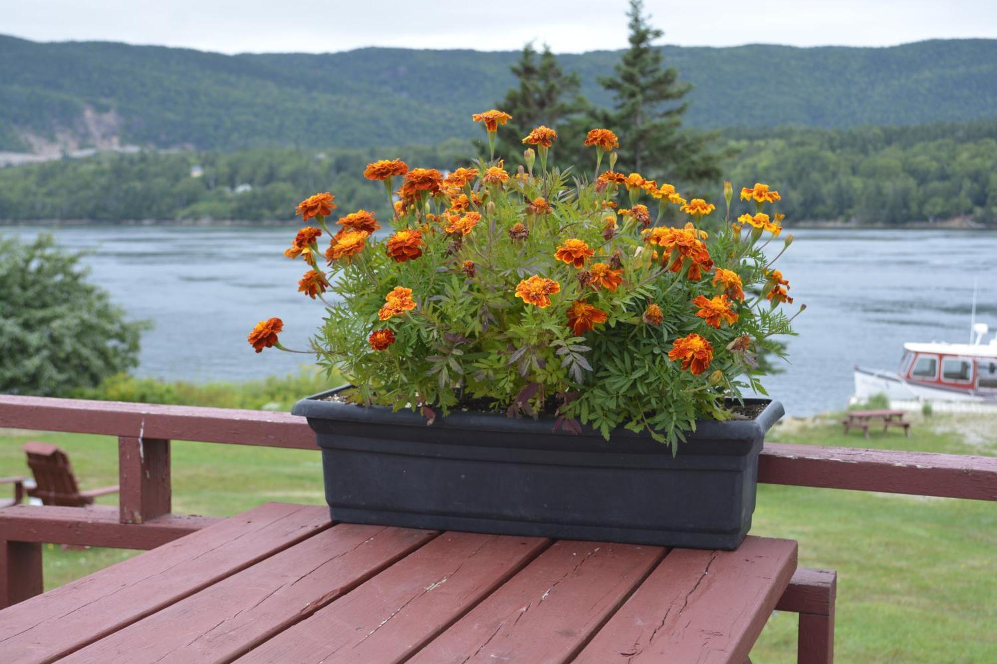 Mountain Vista Seaside Cottages Big Bras d'Or Quarto foto