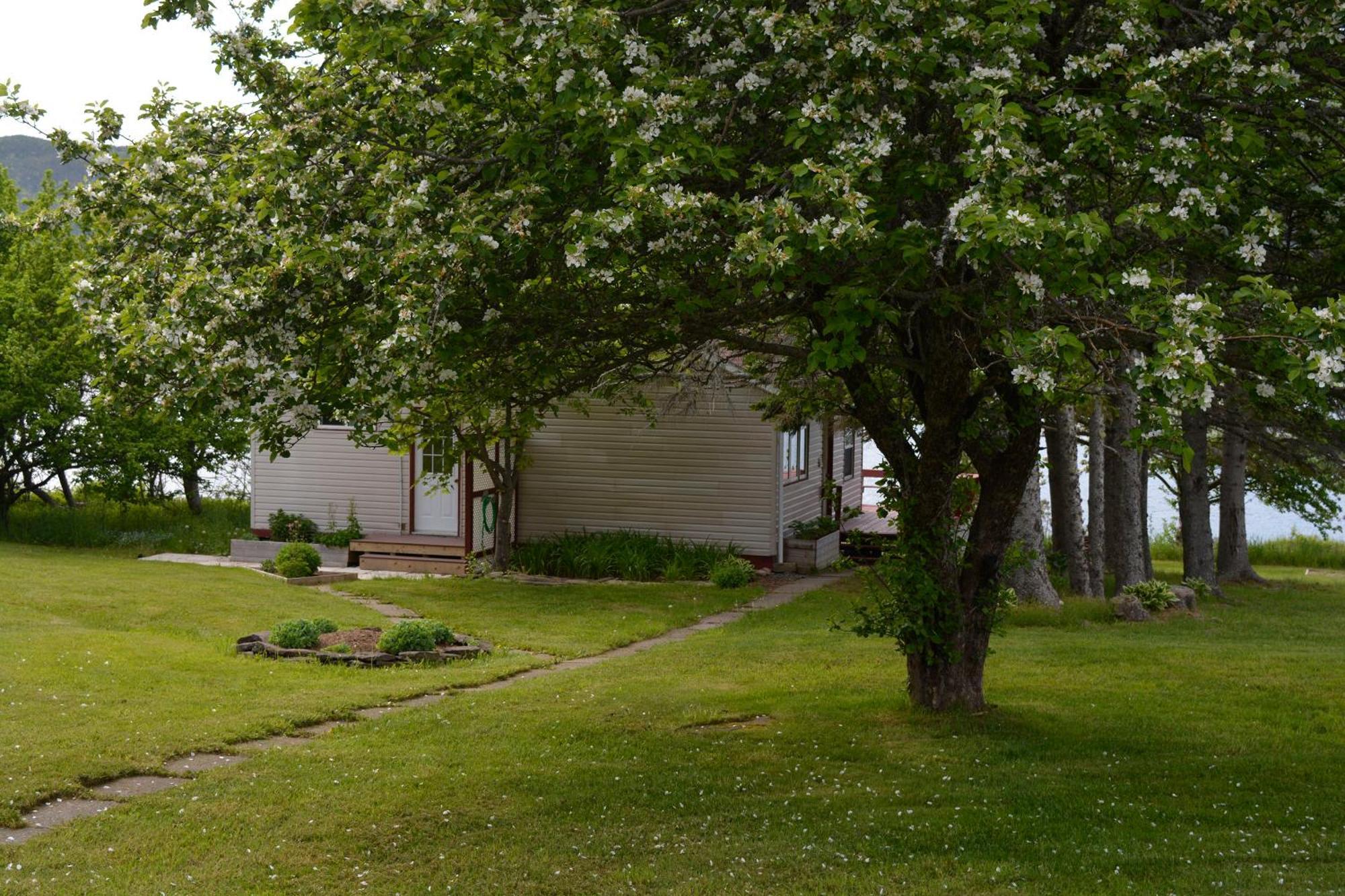 Mountain Vista Seaside Cottages Big Bras d'Or Quarto foto