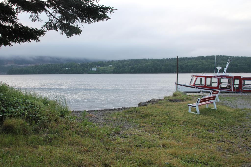 Mountain Vista Seaside Cottages Big Bras d'Or Exterior foto